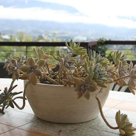 Small View アパート