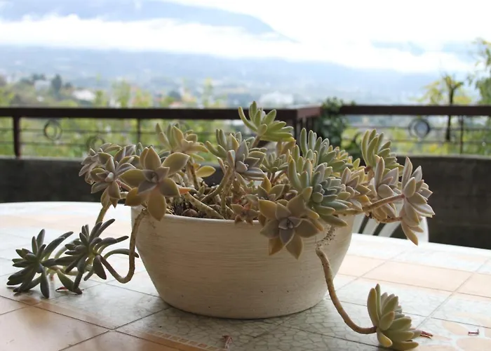 Small View Апартаменты